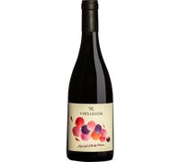 Sciaccaremu 2025 - Domaine Yves Leccia