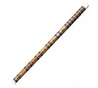 SciAza flute instrument recorder instrument tin whistle Two-Section Split Flute, Ethnic Wind Instrument for Students, Adults and Beginners(Color:KEY G)