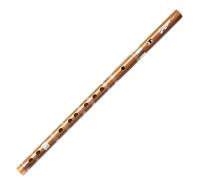 SciAza flute instrument recorder instrument tin whistle6-Hole Recorder Blowing Instrument, Flute for Adult Students and Beginners(Color:C)