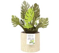 SciCent Monstera Pop Up 3D Plant Birthday & Thank You Card - Desk Decoration - 22572