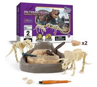 Science Can Archaeological Dinosaur Fossils Toy Dinosaur Excavation Fossil Digging Dig Kit Out Bone