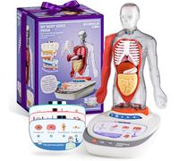 Science Can Human Body Model for Kids - Interactive Anatomy Model with 17 Pcs Removable Human Torso, STEM Educational Science Kit for Kids Aged 6+ Boys and Girls Gifts