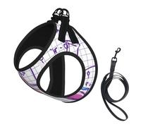 Science Chemistry Lab,Pet Harness,Adjustable Reflective Dog Harness,Pet Leash Vest,S