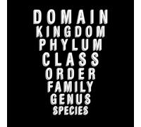 Science Class Taxonomy Biology Zoology School Teacher Animals Engraving Stickers 48x68.6cm Self Adhesive White