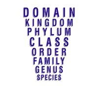 Science Class Taxonomy Vinyl Decal Biology Classroom Decals Zoology Wall Decal School Sticker Teachers Animal-L-57x81cm-DarkBlue