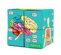 Science Development Toy Human Body Puzzle Card Home School Demonstration Toy Anatomy Puzzle Cube Card Study Parts of The Tools