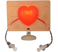 Science Experiment Heart Model Human Heart Model Demonstrator Structure Teaching Aid for Classroom and Home Learning Anatomically Correct Replica Teaching Aid for Circulatory System