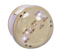 Science Experiments for Kids - DIY Wooden Big Dipper Constellation Light STEM Kit | Educational Science Kits for Boys & Girls Ages 8 9 10 11 12 13 14 | Astronomy Learning Project with LED Stars