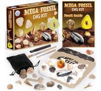 Science Kidz Mega Fossil Dig Kit - Excavate Age 6+ 20 Genuine Prehistoric Fossils, Educational Science Kit For Kids