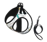 Science Lab Education Biology Chemistry,Pet Harness,Adjustable Reflective Dog Harness,Pet Leash Vest,S