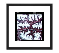 Science Map Satellite Himalayas China Mountain Snow Replica 8X8 Inch Square Wooden Framed Wall Art Print Picture with Mount Artery8 Black One Size