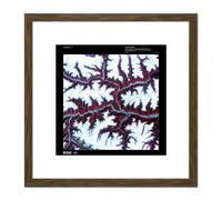 Science Map Satellite Himalayas China Mountain Snow Replica 8X8 Inch Square Wooden Framed Wall Art Print Picture with Mount Artery8 Brown One Size