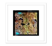 Science Map Satellite Himalayas Tibet Lake Old Reproduction 8X8 Inch Square Wooden Framed Wall Art Print Picture with Mount Artery8 White One Size