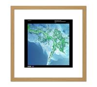 Science Map Satellite Mississippi Delta USA Replica 8X8 Inch Square Wooden Framed Wall Art Print Picture with Mount Artery8 Light Oak One Size