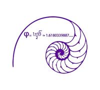 Science-Mathematics Wall Decals Fibonacci Spiral Golden Ratio 1.618... Math Stickers Vinyl Art Bedroom Classroom Wall Decor Extra Large - 70x91cm