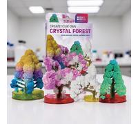 Science Museum Create Your Own Crystal Forest Kit
