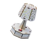 Science Wooden Lamp with Color Changing Feature for Easy Assembly | Wood Building Set for Bedroom Decor and Educational Development, Hands on Fun for Home Learning and Play Time