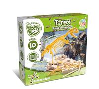 Science4you T Rex Fossil Hunting Kit for Kids Age 5 6 - Excavate and Assemble the 10 pieces T-Rex Fossil - Ideal Dinosaur Excavation Kit Toy for fans of Jurassic, Archeology and Paleontology Sets