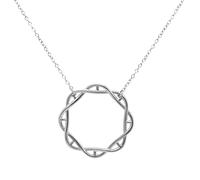 ScienceFox DNA helix pendant with necklace made of 925 sterling silver silver gold rose gold bio-chemistry double helix (SF) (silver rhodium coating)