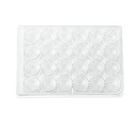 Scienfocus Lab 24 Well Culture Plate - Transparent, Injection Molded with Special Surface Treatment, Pack of 10