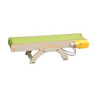Scientific Experiment Electric Conveyor Model Kit - Enhances Creativity | Wooden Learning Toy 26.5x6.5x7.5cm | For Preschool Kids Outdoors Home School Travel, Promotes Parent-Child B