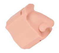 Scientific Nasal Passage Model Clear Visualization Tool for ENT Studies Training and Science Education Nasal Septum Model