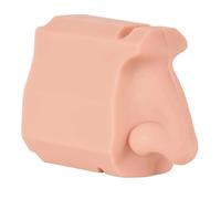 Scientific Nasal Passage Model Clear Visualization Tool for ENT Studies Training and Science Education Nasal Septum Model