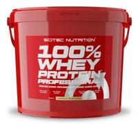 Scitec Nutrition 100% Whey Professional 5 kg Choco Hazelnut