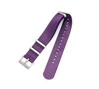 SCLHouiX 20mm 22mm 24mm Seat Belt Nylon Fit for NATO Strap Military Watch Band Replacement Watch Straps Fit for Omega Fit for James Fit for Bond 007 Watch Strap (Color : Purple, Size : 20mm)