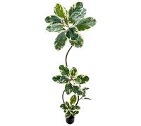 SCNROU Artificial Variegated Rubber Tree 5.3FT