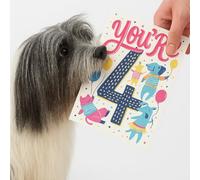 Scoff Paper 4th Birthday Card For Dog, Edible Happy Birthday Dog Card - The Card Your Dog Can Eat! Happy Birthday 4th, Single A5, Chicken Flavoured Card. Ideal Treat, Snack, Gift Or For Your Pet
