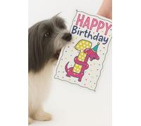 Scoff Paper Edible Happy 1st Birthday Dog Card - The Card Your Dog Can Eat! Happy First Birthday, Single A5, Bacon Flavoured. Ideal Treat, Snack, Gift Or For Your Pet