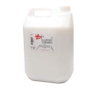 Scola Premium PVA Kids Glue, 5 Litres, School Supplies, Art and Crafts Projects, Children's Craft Projects, Ideal for Kids