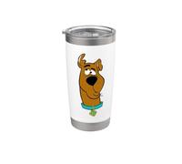 Scooby-Doo Confused Stainless Steel Insulated Tumbler