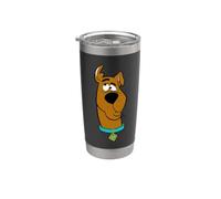 Scooby-Doo Confused Stainless Steel Insulated Tumbler