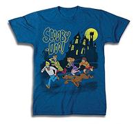 Scooby Doo Mens Throwback Shirt, Shaggy, Velma Tee - Throwback Classic T-Shirt (Royal Heather, Large)