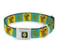 Scooby Doo Pet Collar, Dog Collar Metal Seatbelt Buckle, Scooby Doo Pose and Dog Tag Blocks Yellow Blue, 16 to 23 Inches 1.5 Inch Wide