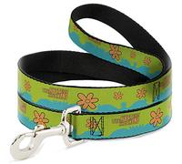 Scooby Doo Pet Leash, Dog Leash, Scooby Doo The Mystery Machine Paint Job Green Aqua Orange, 4 Feet Long 1.0 Inch Wide