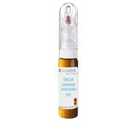 SCOOBYS PAINTS BACK IN THE MIX 21ml Paint Touch Up Pen For Dacia Orange Atacama Epy Scratch Removal Car Repair