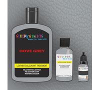 SCOOBYS PAINTS BACK IN THE MIX Leather Colourant Treatment Paint, Fixes Scuffs, Restores Colour (Dove Grey, 10ML)