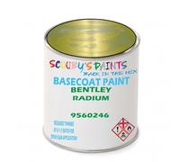 SCOOBYS PAINTS BACK IN THE MIX Paint Compatible With BENTLEY Radium 9560246 NEAT Basecoat - Unthinned Automotive Colour (250Ml)