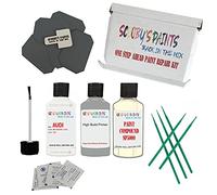 SCOOBYS PAINTS BACK IN THE MIX Stone Chip Scuff Scratch Repair Touch up Paint Kit Compatible With AUDI IBWHITE Paint Code : LY9C