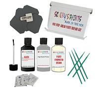 SCOOBYS PAINTS BACK IN THE MIX Stone Chip Scuff Scratch Repair Touch up Paint Kit Compatible With AUDI MYTHOS BLACK Paint Code : LY9T