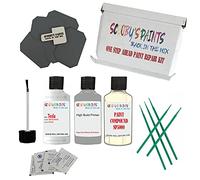 SCOOBYS PAINTS BACK IN THE MIX Stone Chip Scuff Scratch Repair Touch up Paint Kit Compatible With TESLA WHITE WATER Paint Code : PPSW
