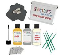 SCOOBYS PAINTS BACK IN THE MIX Stone Chip Scuff Scratch Repair Touch up Paint Kit Compatible With VAUXHALL SUNNY MELON Paint Code : 40Q