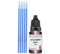 SCOOBYS PAINTS BACK IN THE MIX Touch Up Paint Compatible With Alfa Romeo Erica 713 Scratch Fix Automotive Purple Car (10Ml)