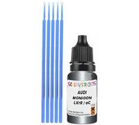 SCOOBYS PAINTS BACK IN THE MIX Touch Up Paint Compatible With Audi Monsoon Gray Metallic Lx7R / 0C Scratch Fix Automotive Grey Car (10Ml)
