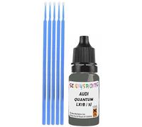 SCOOBYS PAINTS BACK IN THE MIX Touch Up Paint Compatible With Audi Quantum Grey Lx7B / 5J Scratch Fix Automotive Car (10Ml)