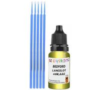 SCOOBYS PAINTS BACK IN THE MIX Touch Up Paint Compatible With Bedford Lancelot Pearl 40M,Aau Scratch Fix Automotive Green Car (10Ml)