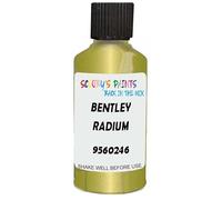 SCOOBYS PAINTS BACK IN THE MIX Touch Up Paint Compatible With Bentley Radium 9560246 Scratch Fix Automotive Yellow Car (30Ml)